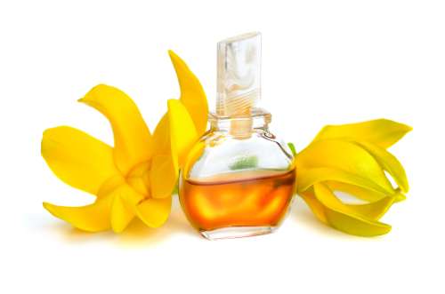 Esencia Ylang Ylang