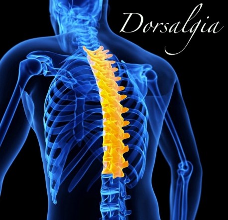 Dorsalgia