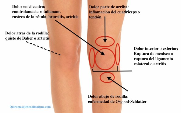 Long female legs on white background