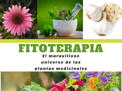 Fitoterapeuta benalmadena